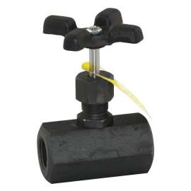 Globe Valve, FNPT, 316 SS, Tee-Handle, 1-in