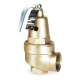 1060825 Bronze Safety Relief Valve, FNPT Inlet Type, FNPT Outlet Type