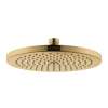 Axor Starck Showerhead 240 1-Jet, 1.75 Gpm In Polished Gold Optic, 26071991