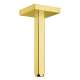 Axor Showersolutions Extension Pipe For Ceiling Mount In Brushed Gold Optic, 26414251