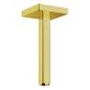 Axor Showersolutions Extension Pipe For Ceiling Mount In Polished Gold Optic, 26414991