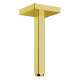 Axor Showersolutions Extension Pipe For Ceiling Mount In Polished Gold Optic, 26414991