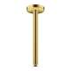Axor Showersolutions Extension Pipe For Ceiling Mount, 12" In Brushed Gold Optic, 26433251
