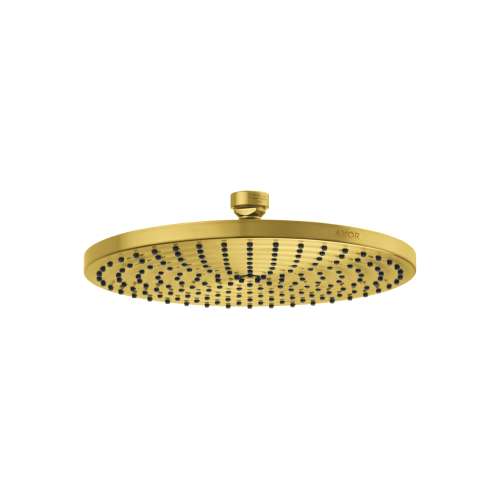 Axor Showersolutions Showerhead  240 1-Jet Powder Rain, 1.75 Gpm In Brushed Gold Optic, 28614251