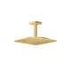 Axor Citterio C Showerhead 270 Square 1-Jet Ceiling Connection, 2.5 Gpm In Brushed Gold Optic, 28793251