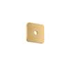 Axor Citterio C Wall Plate Softsquare 5" X 5" In Brushed Gold Optic, 28801251