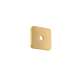 Axor Citterio C Wall Plate Softsquare 5" X 5" In Brushed Gold Optic, 28801251