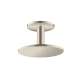 Axor Showersolutions Showerhead 250 2-Jet Ceiling Connection, 2.5 Gpm In Brushed Nickel, 35297821
