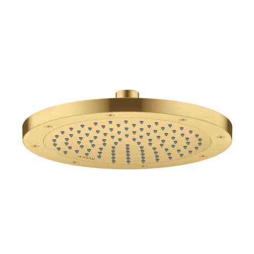 Axor Showersolutions Showerhead 245 1-Jet, 1.75 Gpm In Brushed Gold Optic, 35385251