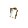 Axor Universal Rectangular Shaving Mirror In Polished Gold Optic, 42649990