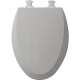 Wood Elongated Toilet Seat in Silver