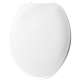 170 000 Plastic Elongated Toilet Seat in White