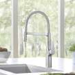 Rivana Semi-Pro Pull-Down Dual-Spray Kitchen Faucet - PVD Steel, 442676