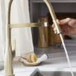 Rivana Semi-Pro Pull-Down Dual-Spray Kitchen Faucet - Satin Gold, 442984