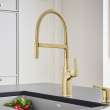 Rivana Semi-Pro Pull-Down Dual-Spray Kitchen Faucet - Satin Gold, 442984