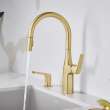 Rivana High-Arc Pull-Down Dual-Spray Kitchen Faucet - Satin Gold, 442985