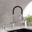 Catris Flexo Filter-Ready Semi-Pro Pull-Down Dual-Spray Kitchen Faucet - Chrome, 442990