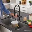 Catris Flexo Filter-Ready Semi-Pro Pull-Down Dual-Spray Kitchen Faucet - Matte Black, 442992