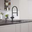 Catris Flexo Filter-Ready Semi-Pro Pull-Down Dual-Spray Kitchen Faucet - Matte Black, 442992
