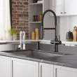 Catris Flexo Filter-Ready Semi-Pro Pull-Down Dual-Spray Kitchen Faucet - Matte Black, 442992