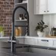 Catris Flexo Filter-Ready Semi-Pro Pull-Down Dual-Spray Kitchen Faucet - Matte Black, 442992
