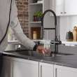 Catris Flexo Filter-Ready Semi-Pro Pull-Down Dual-Spray Kitchen Faucet - Matte Black, 442992