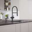 Catris 442992-443275 19.12-in H Pull Down Sprayer Kitchen Faucet with 360 Degree Spout Swivel and Filter in Matte Black