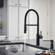 Catris Flexo Semi-Pro Pull-Down Dual-Spray Kitchen Faucet - Matte Black, 443026