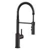 Catris Semi-Pro Pull-Down Dual-Spray Kitchen Faucet - Matte Black, 443032