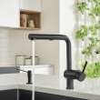 Linus Low Arc Pull-Out Dual-Spray Kitchen Faucet - Coal Black, 526374