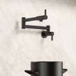 Culina II Wall-Mounted Pot Filler - Matte Black, 527486