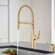 Rivana Semi-Pro Pull-Down Dual-Spray Kitchen Faucet - Satin Gold, 442984