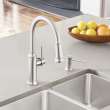 Pull Down Kitchen Faucet 1.5 gpm in Stainless Finish
