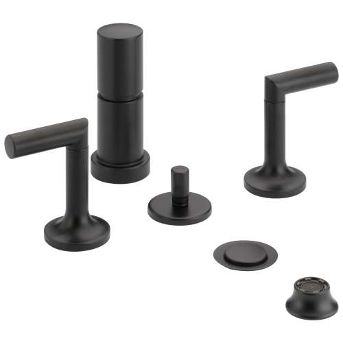 Bidet Faucet in Matte Black Finish