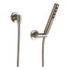 Hand Shower Package Includes Hose and Wall Supply in Brushed Nickel