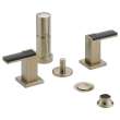 Bidet Faucet Less Handles in Brushed Nickel Finish
