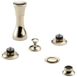 Bidet Faucet Less Handles in Polished Nickel Finish