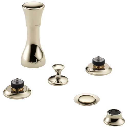 Bidet Faucet Less Handles in Polished Nickel Finish