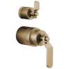 Pressure Balance Valve Trim Industrial Lever Handle Kit in Luxe Gold