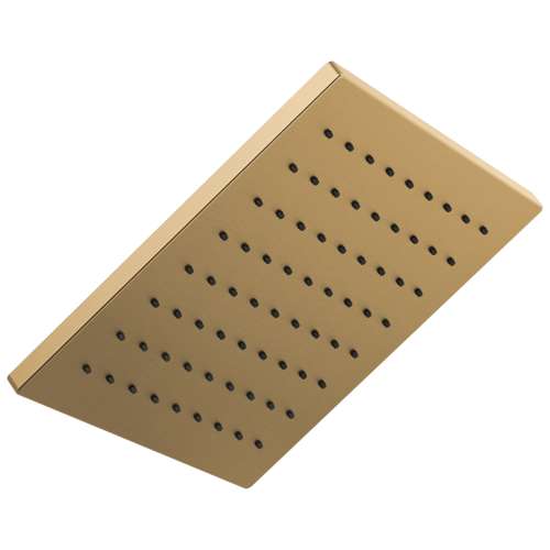 1.75 GPM Square Raincan Showerhead in Luxe Gold