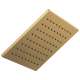 1.75 GPM Square Raincan Showerhead in Luxe Gold