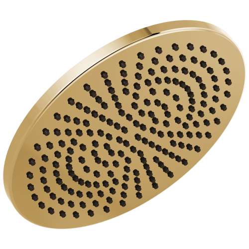 2.5 GPM Round Raincan Showerhead in Polished Gold
