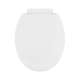 Plastic Round Slow-Close Toilet Seat in White