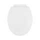 Plastic Round Slow-Close Toilet Seat in Crane White