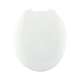 440TM-001 Plastic Round Toilet Seat in White