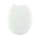 Plastic Round Toilet Seat in Crane White