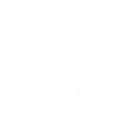 AMFR440STSS-001 Plastic Round Toilet Seat in White