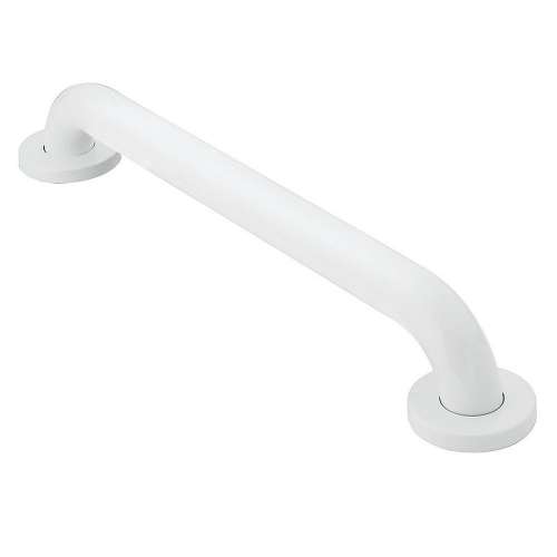 16in x 1-1/4in Grab Bar in Glacier