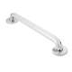 24in x 1-1/4in Grab Bar in Polished Stainless Steel