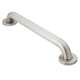 30in x 1-1/4in Grab Bar in Peened